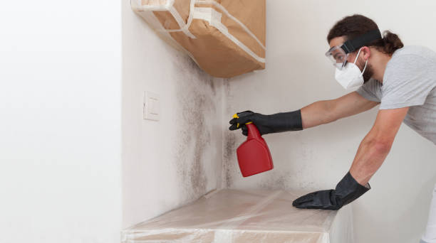 Professional Basement Mold Remediation technician working in Glen Richey, PA